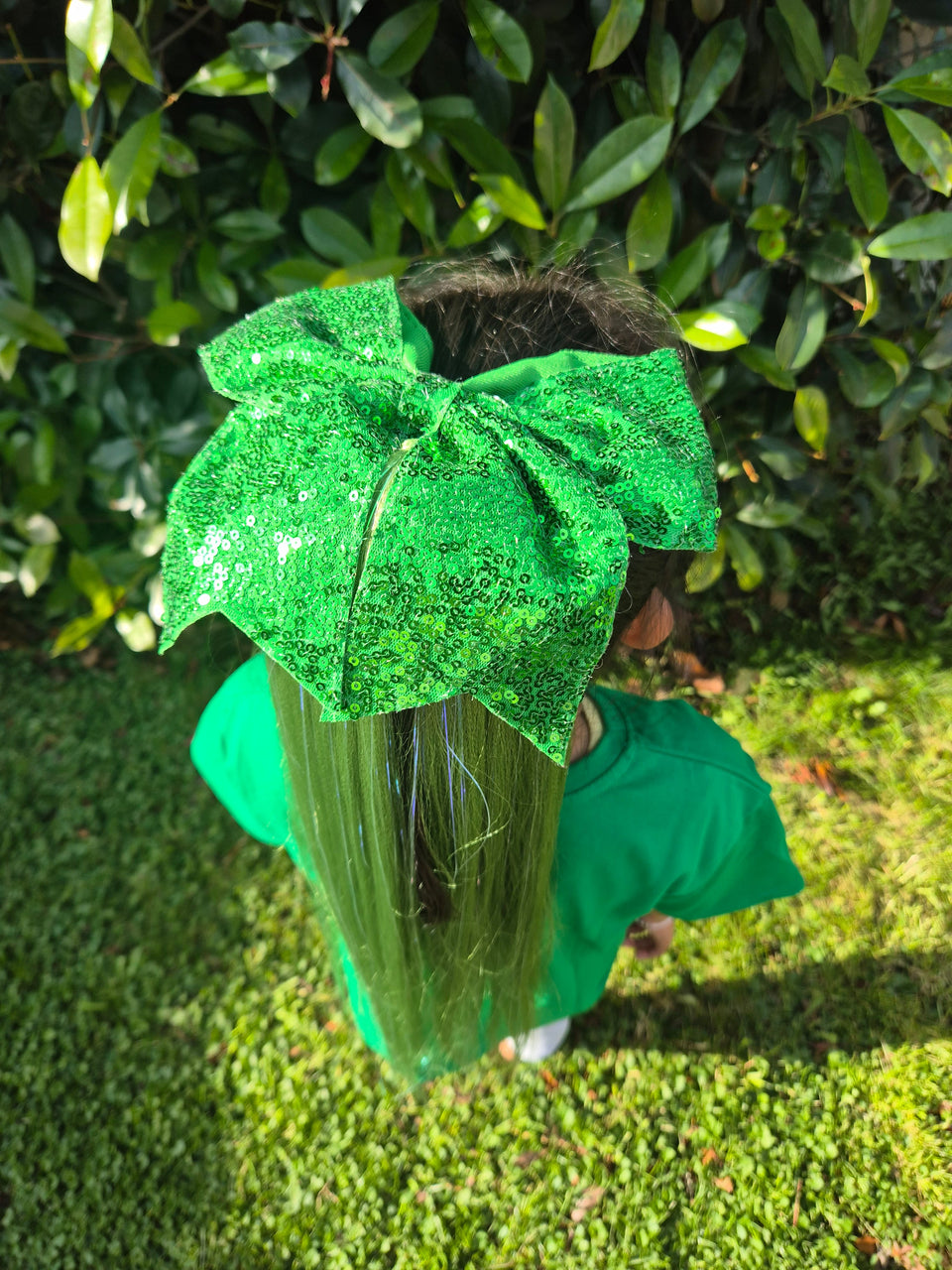 Green Sports Carnival Hair Accessories | School House Colours