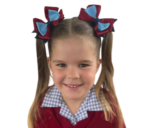 Classic Bow Hair tie/clip for School - custom made, choose colours needed